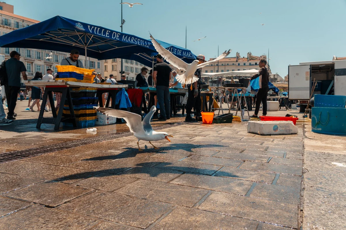 Batumi Fish Market view 1