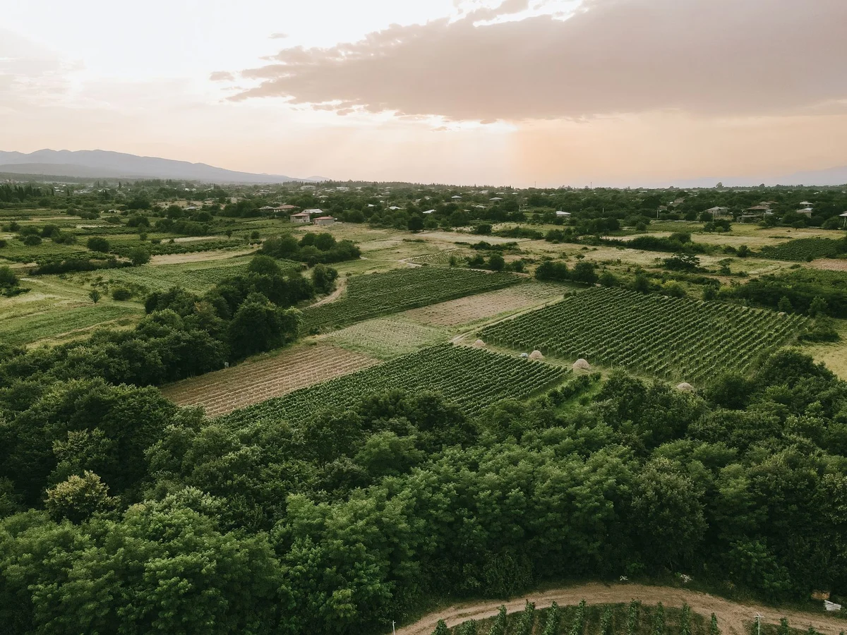 Winery Khareba view 1