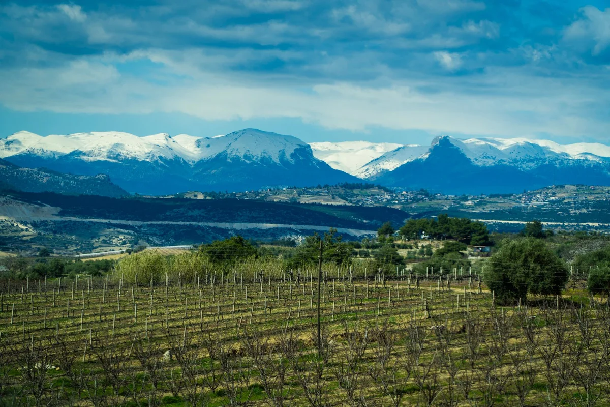 Winery Khareba feature