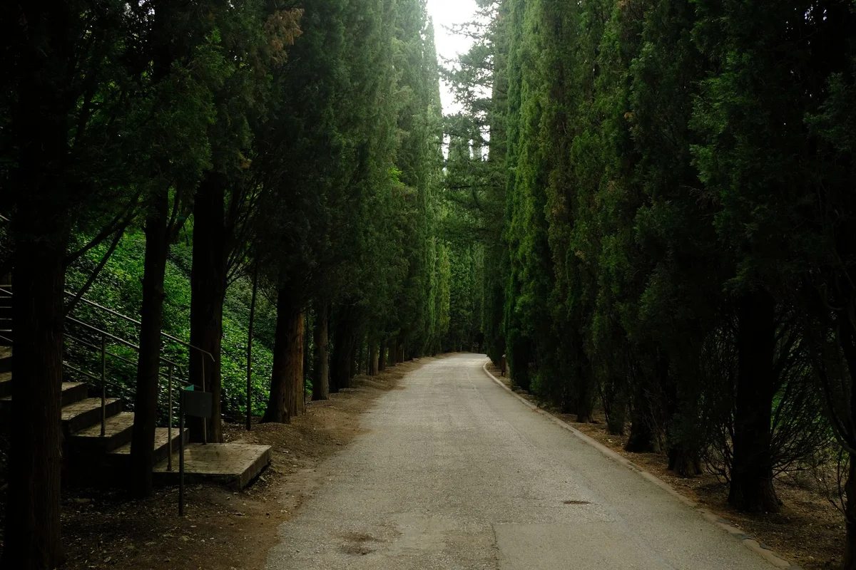 Kutaisi Central Park view 1