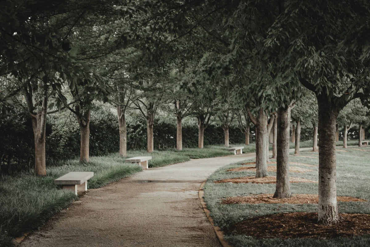 Kutaisi Central Park view 2