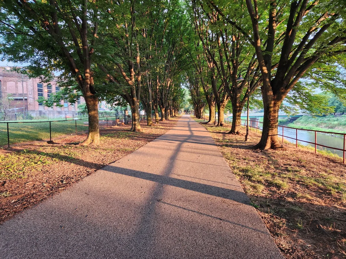 Kutaisi Central Park feature