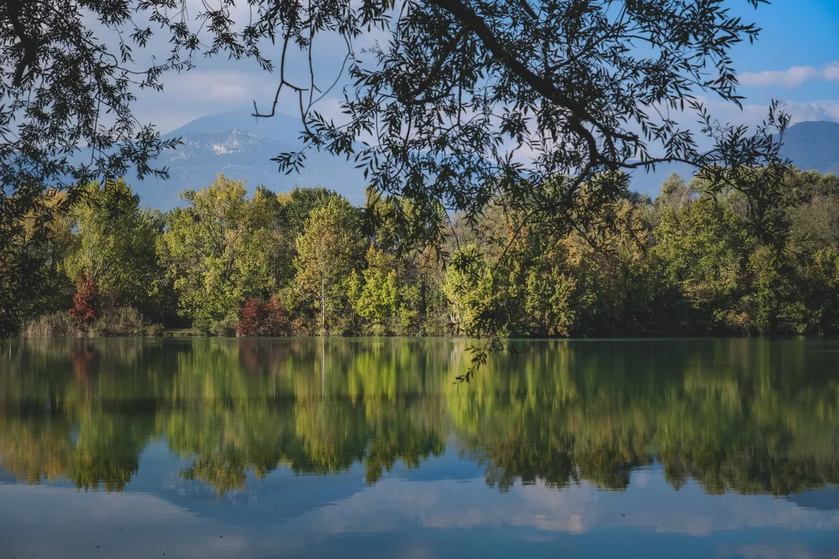 Lopota Lake feature