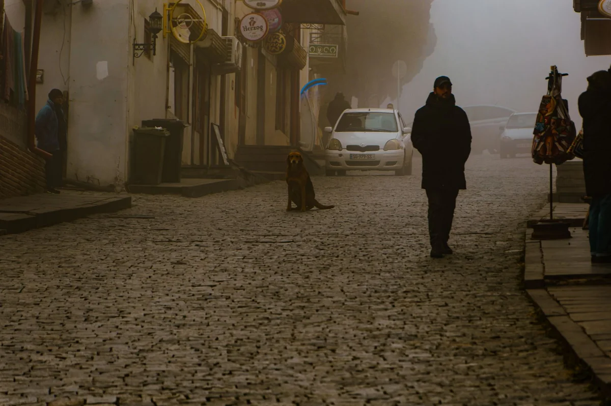 Sighnaghi Old Town view 2