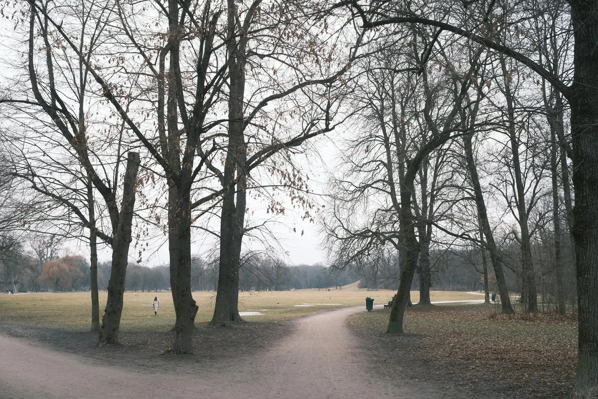 Englischer Garten view 2