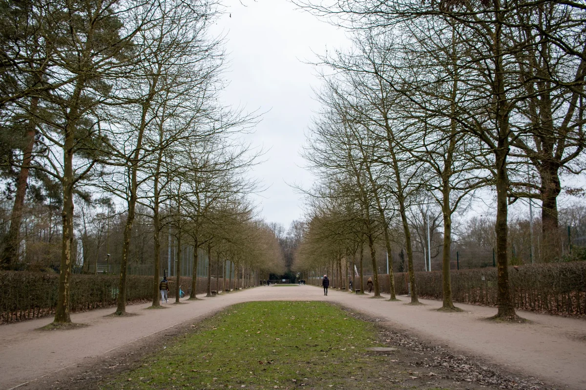 Grüneburgpark view 2