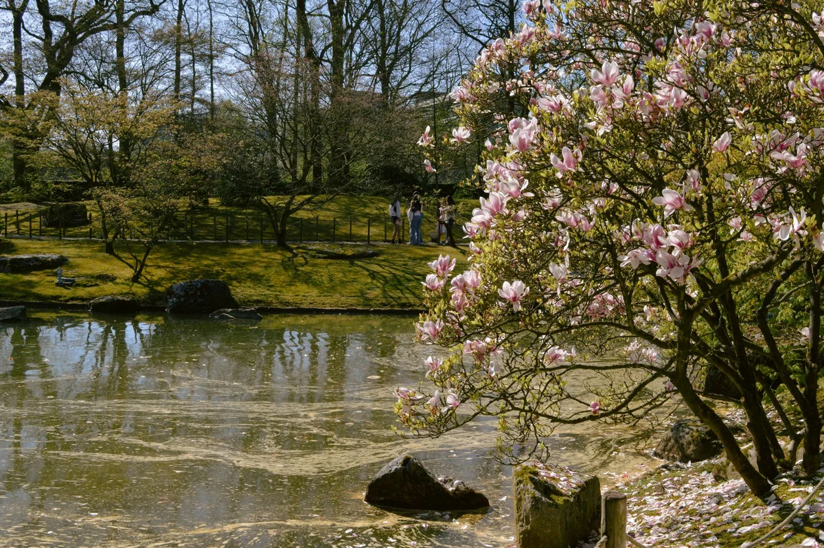 Günthersburgpark view 1