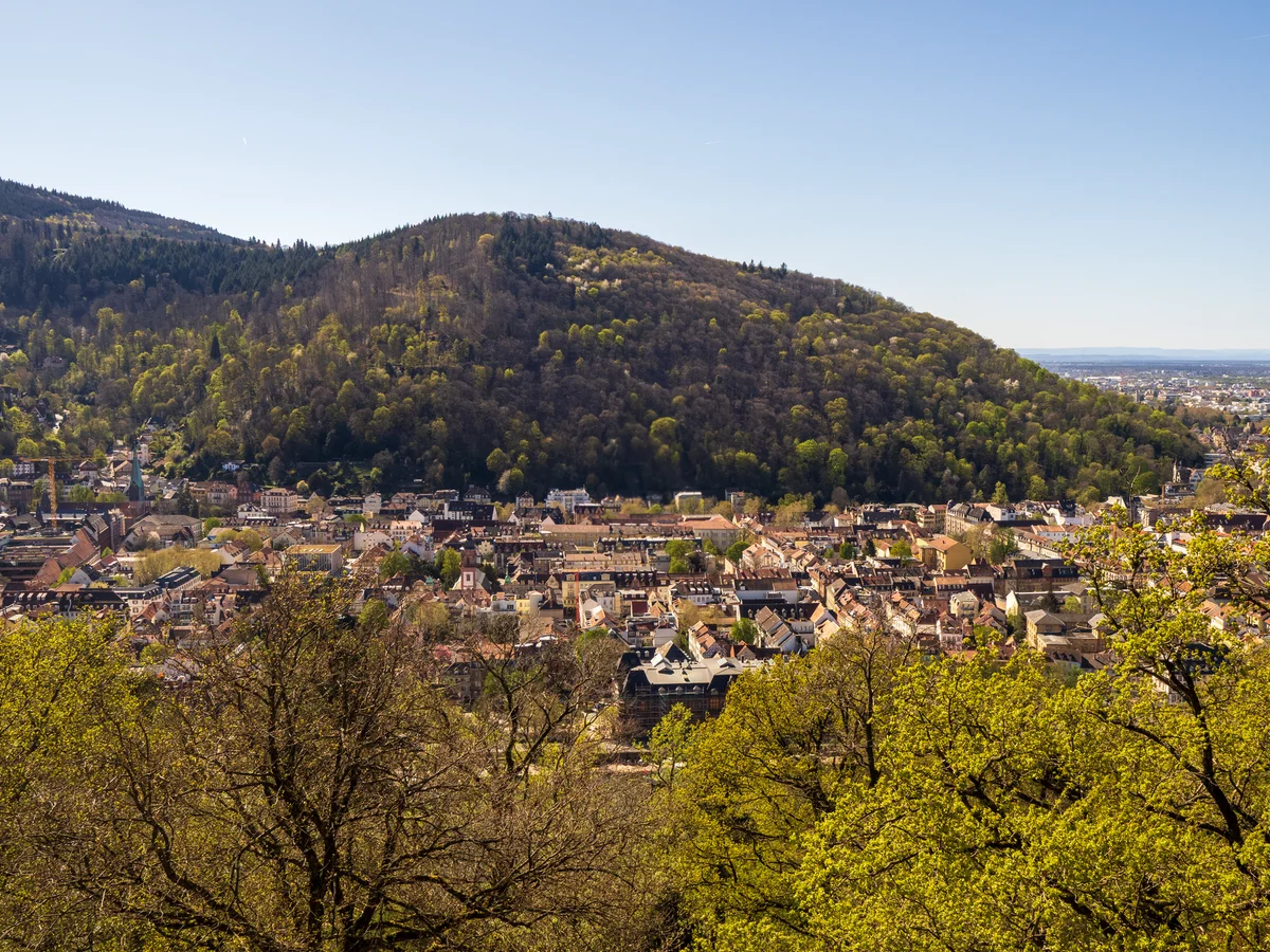 Heidelberg Altstadt view 2