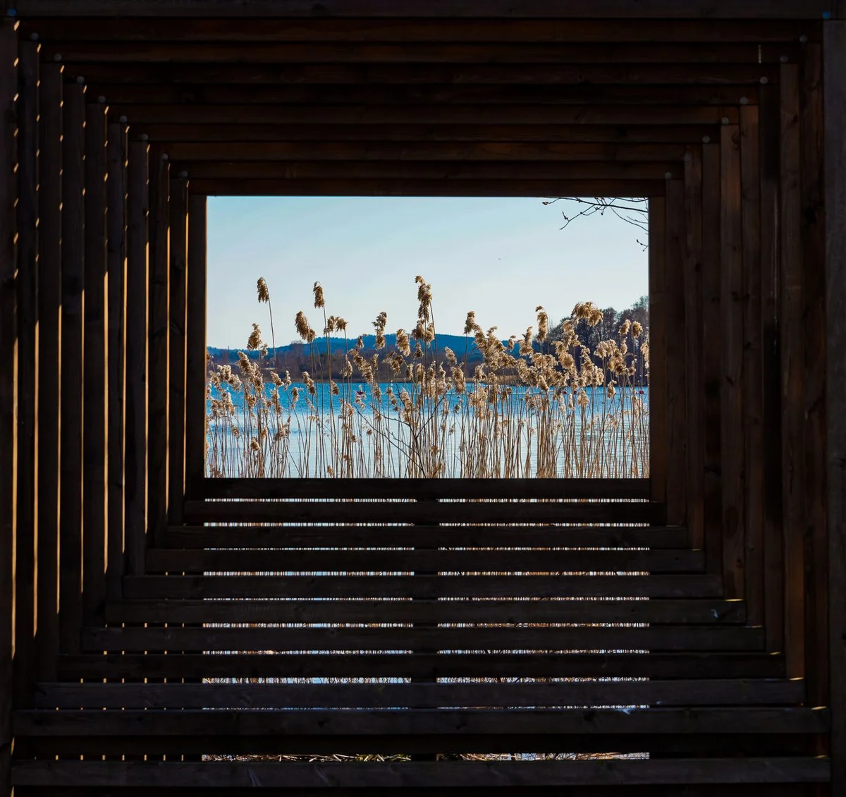 Plötzensee feature