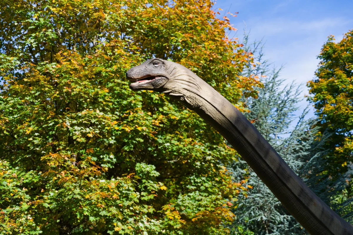 Senckenberg Museum feature