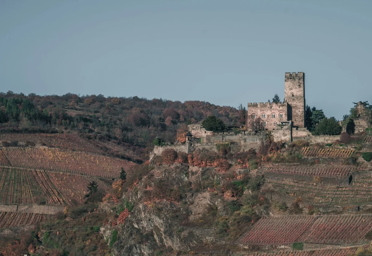 Upper Middle Rhine Valley view 2