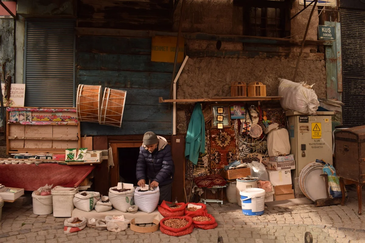 1866 Street Market view 2