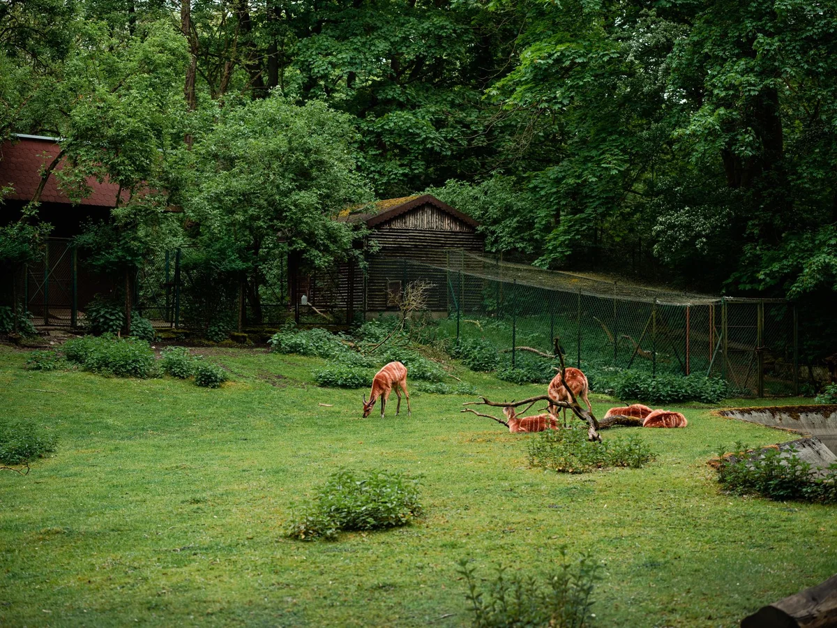 Askos Stone Park feature