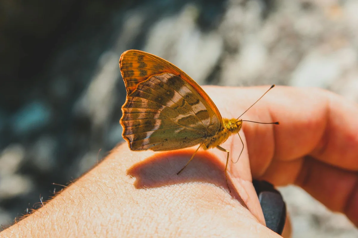 Butterfly Valley view 2