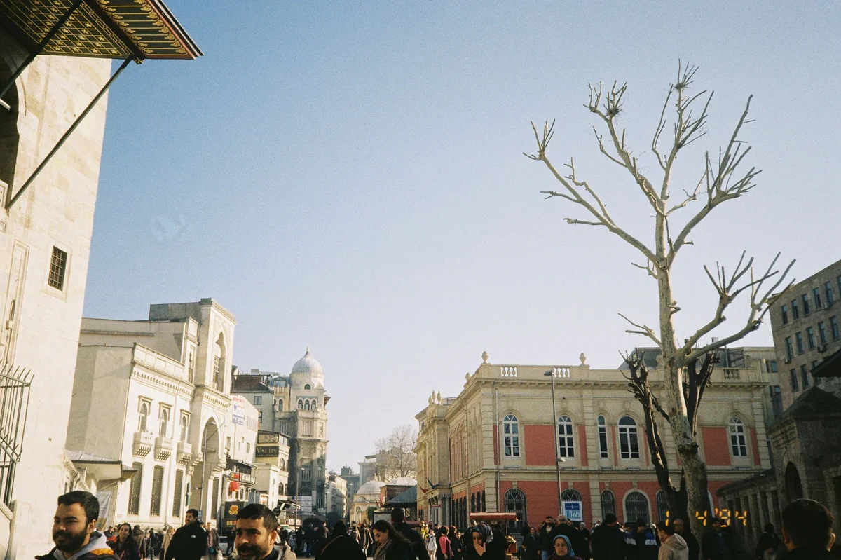 Hippocrates Square feature