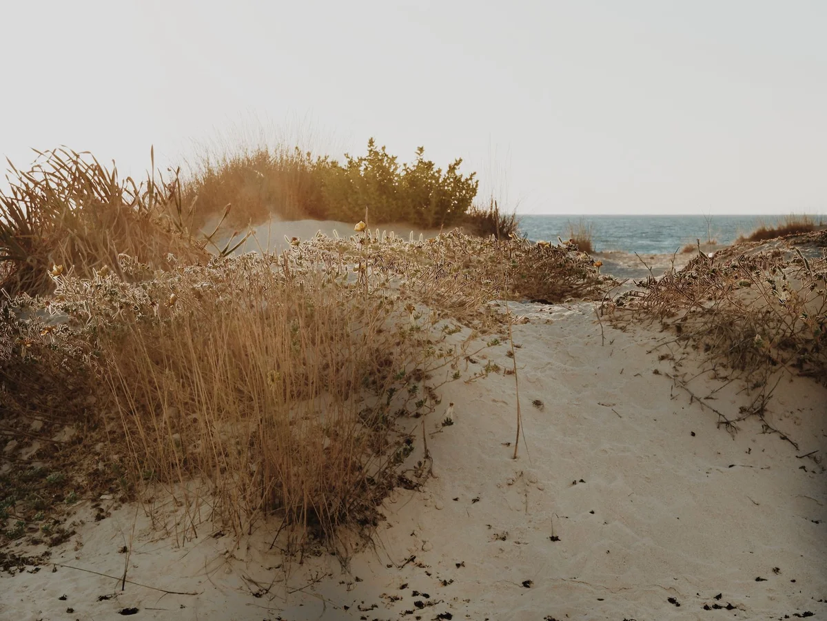 Kedrodasos Beach view 2