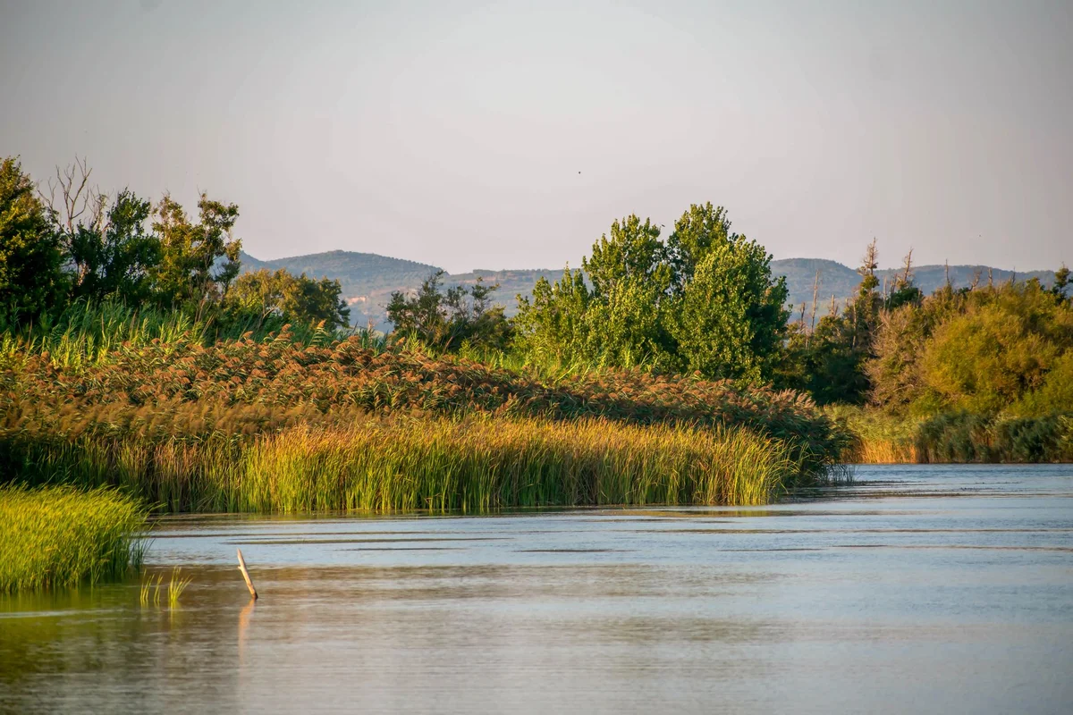 Koutavos Lagoon view 2