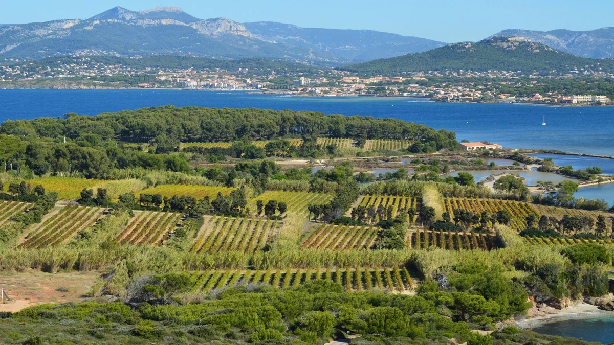 Gerovassiliou Winery view 2