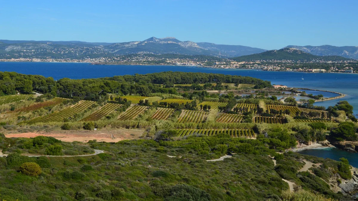 Gerovassiliou Winery feature