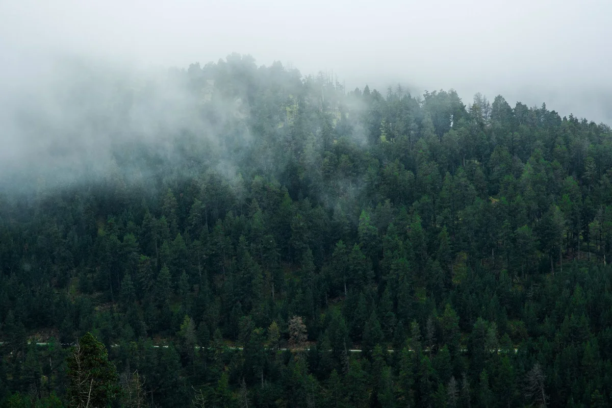 Mount Ainos National Park view 1