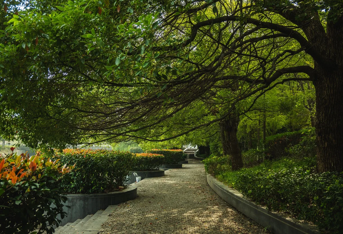 Municipal Garden view 2