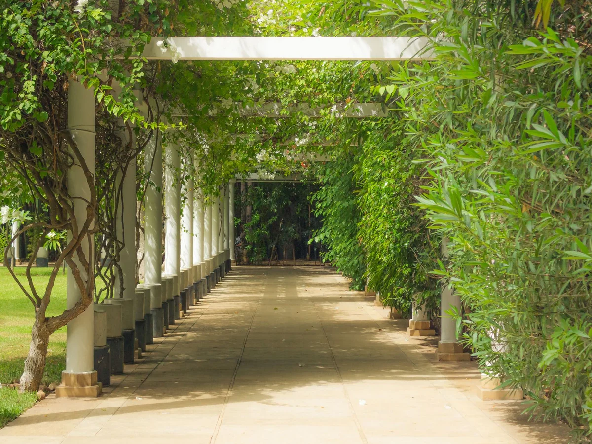 Municipal Garden view 1
