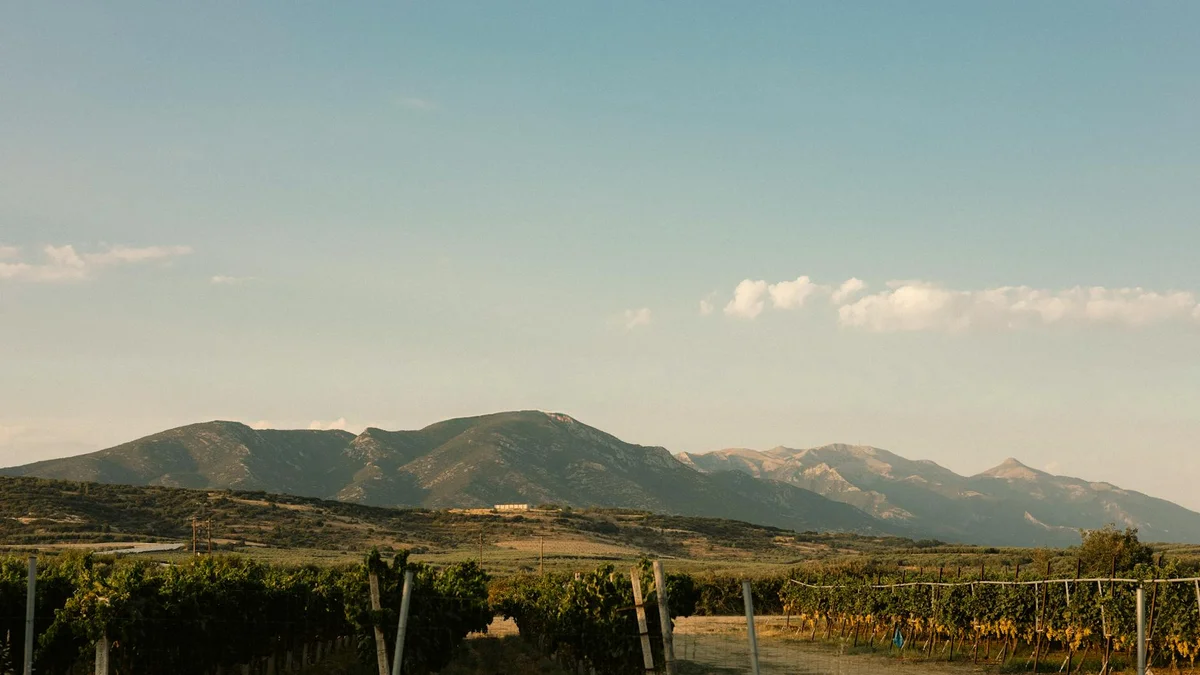 Santo Wine Estate view 1