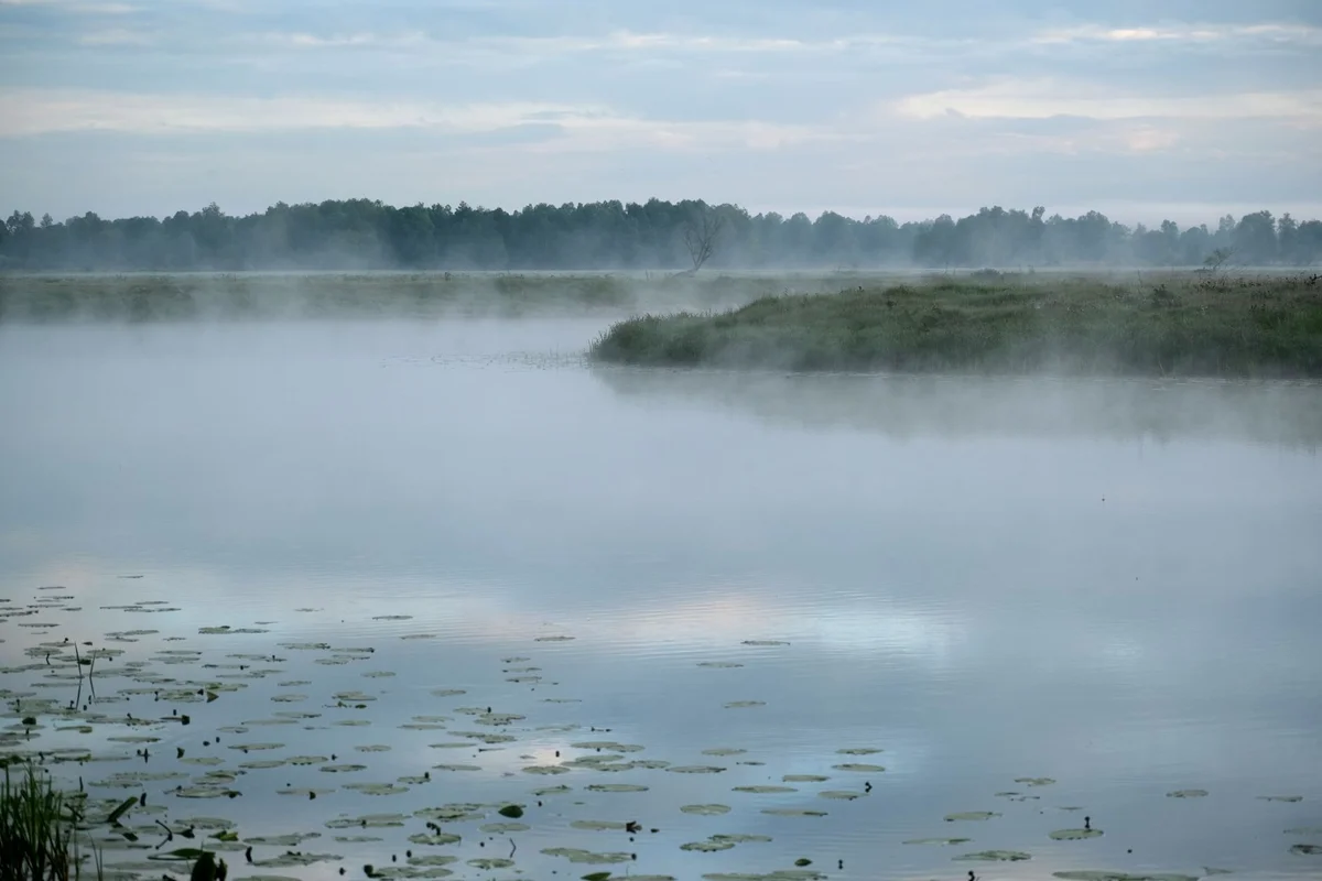 Lake Hévíz feature