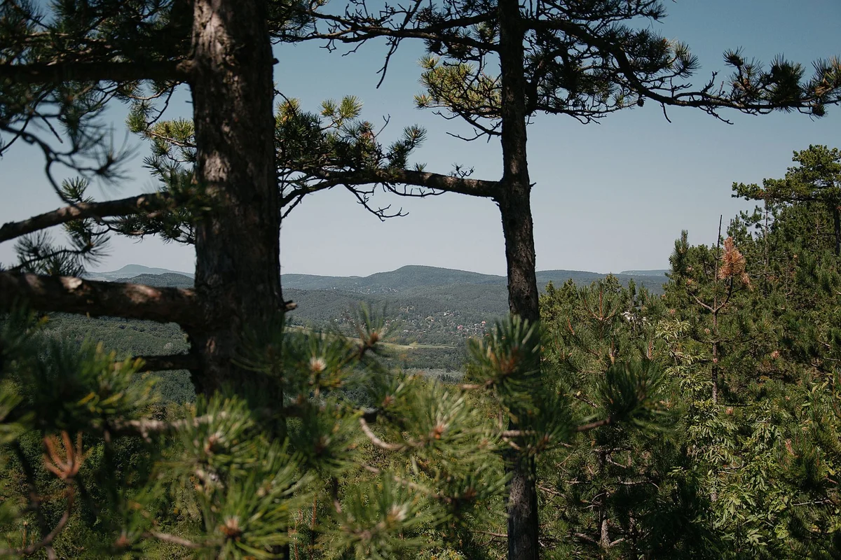 Normafa view 1
