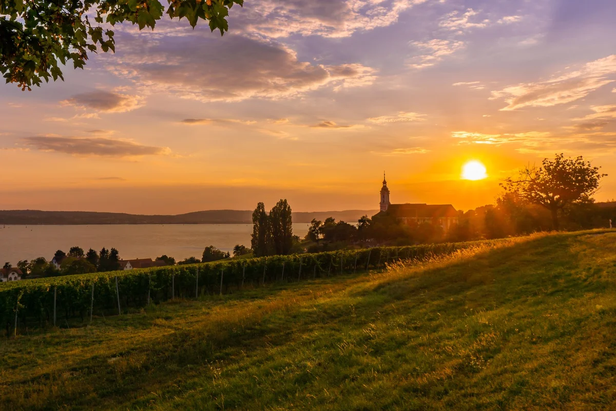 Tokaj Wine Region view 1