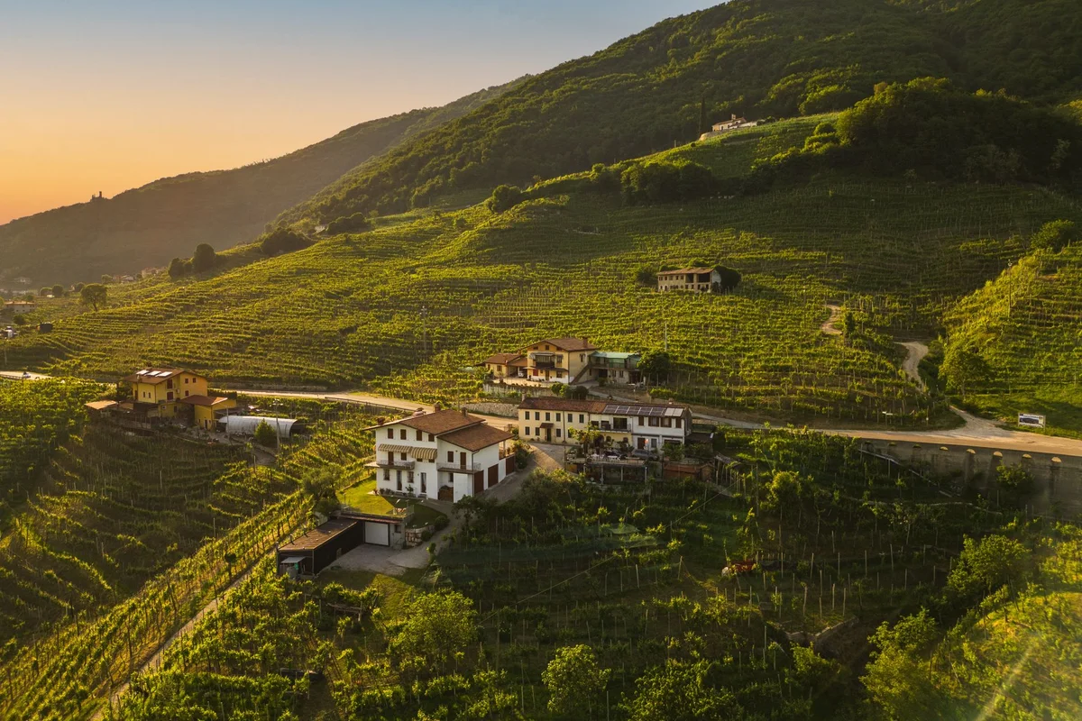 Tokaj Wine Region feature