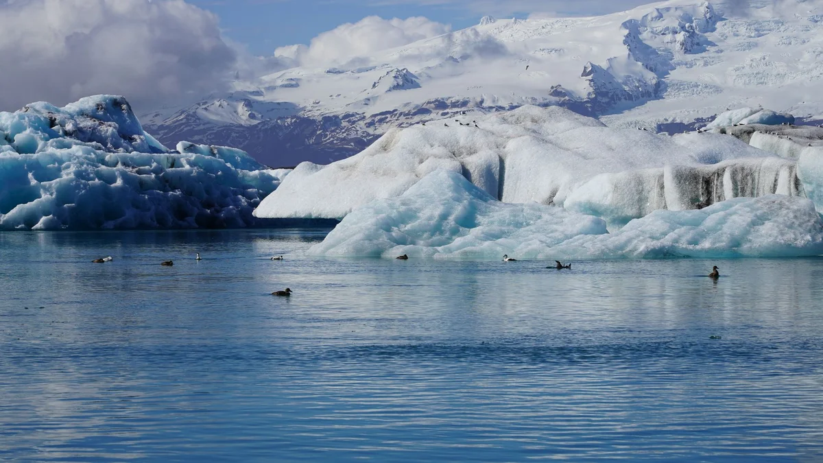 Fjallsarlon Glacier Lagoon view 2