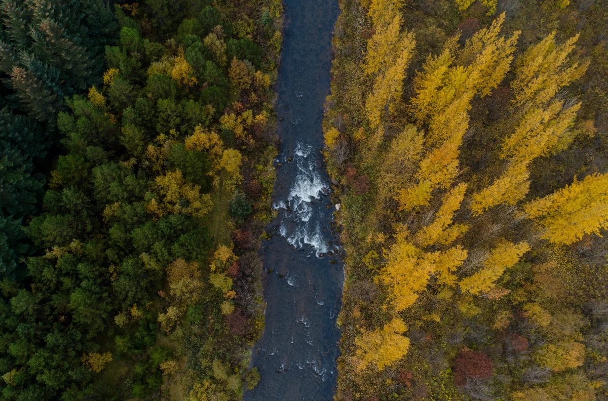 Klambratún feature
