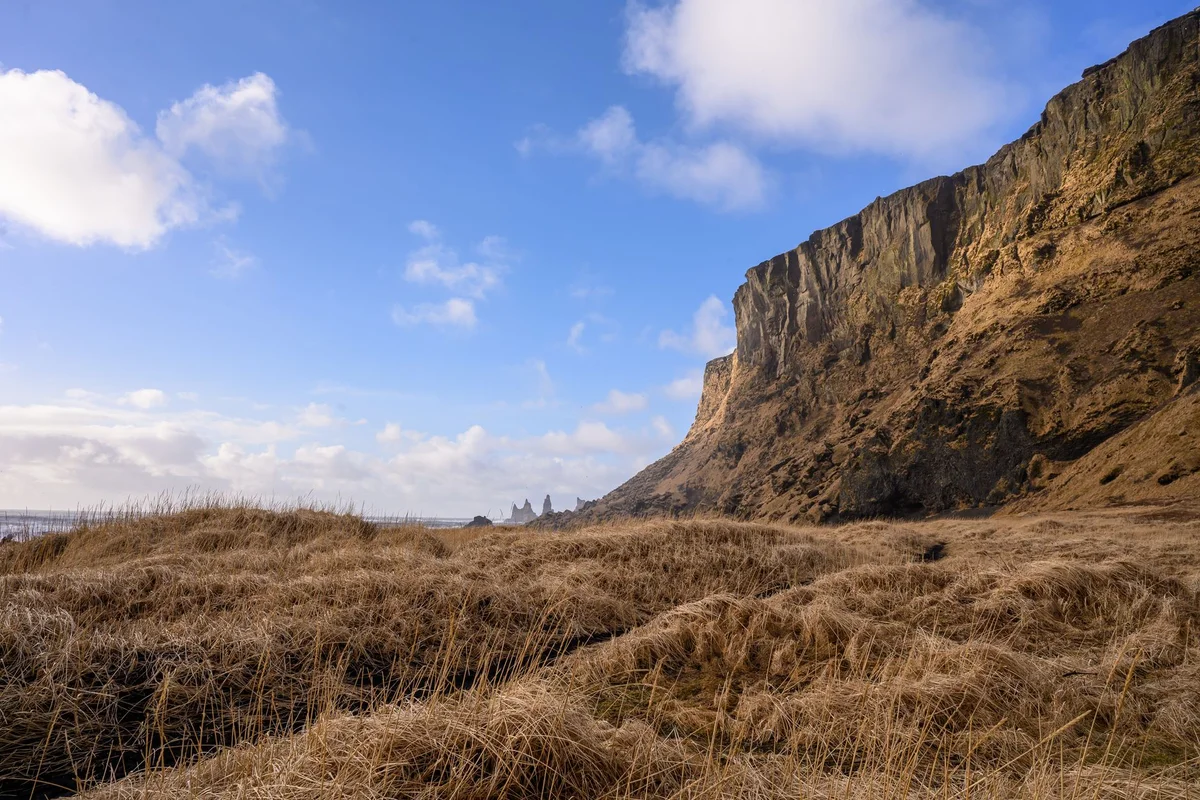 Krýsuvíkurbjarg Cliffs view 1