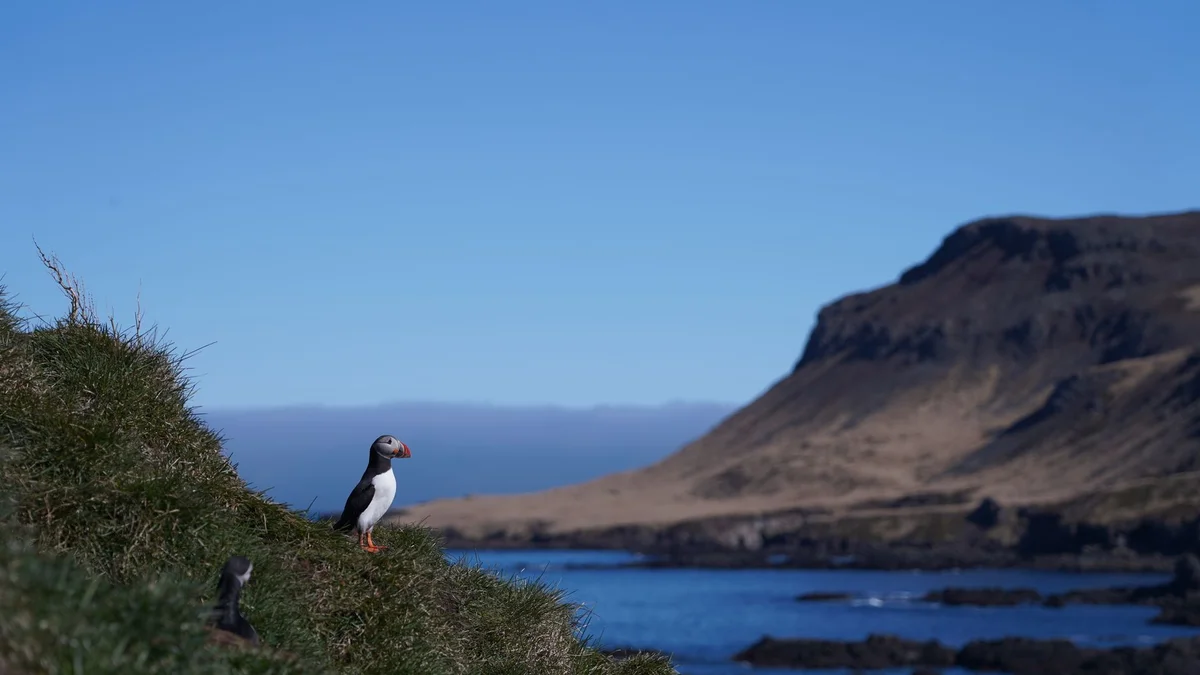 Stórhöfði view 1