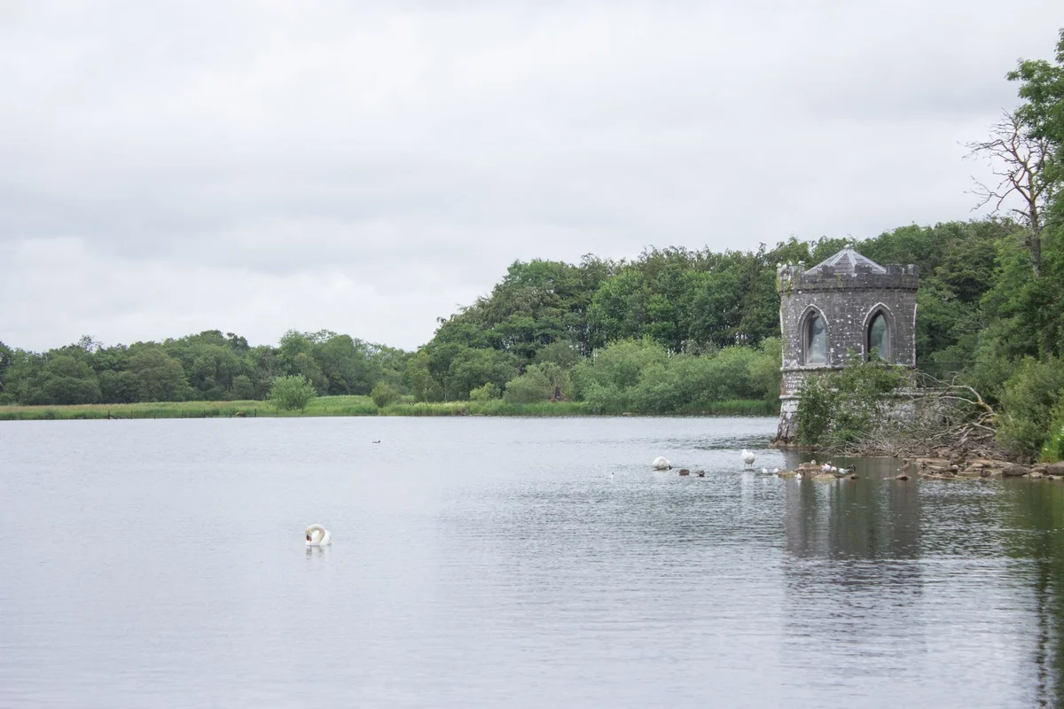 Blessington Street Basin feature
