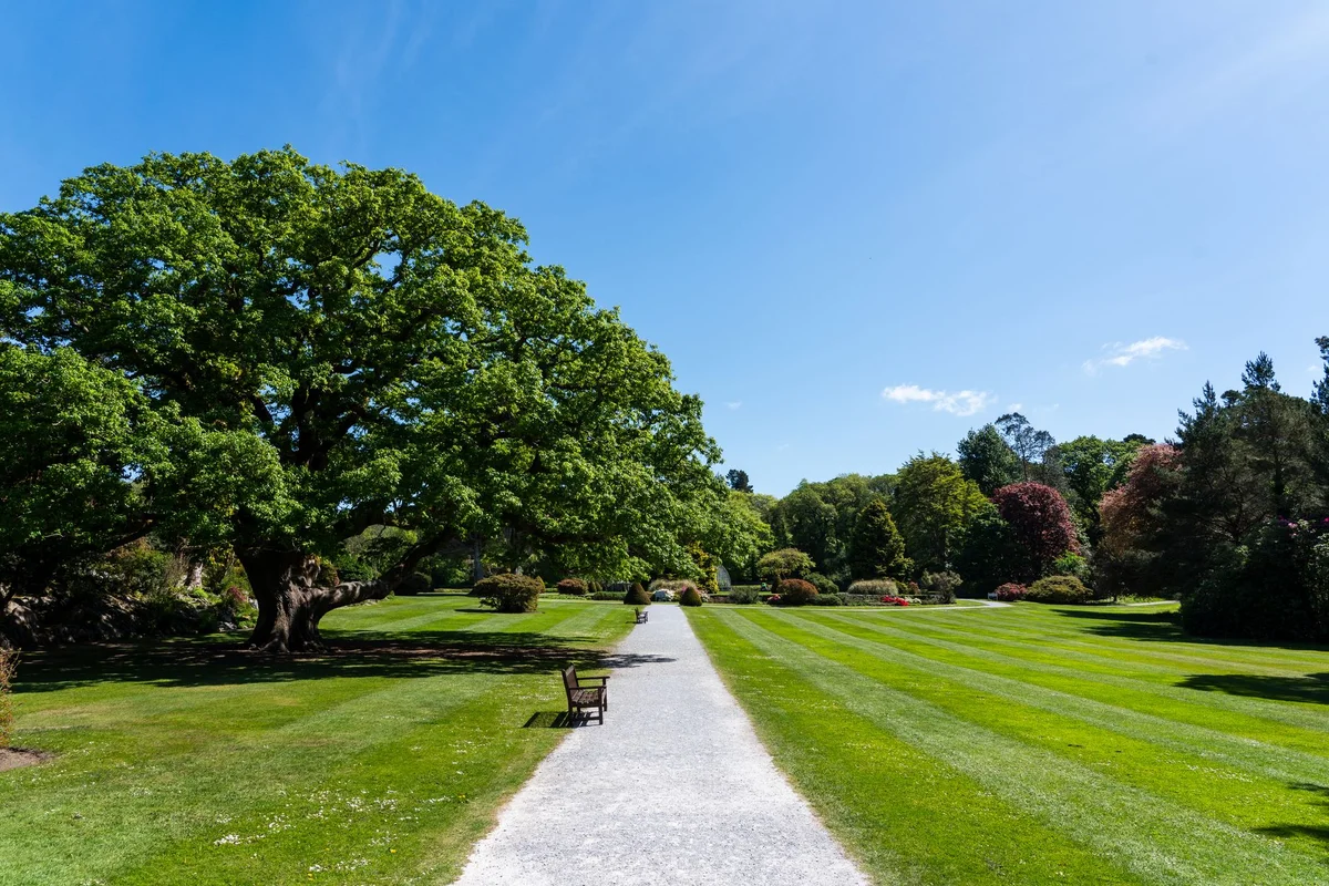 Iveagh Gardens view 1