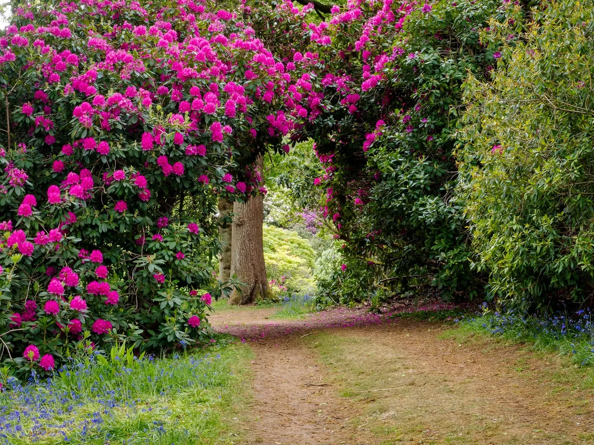 Mount Usher Gardens view 1