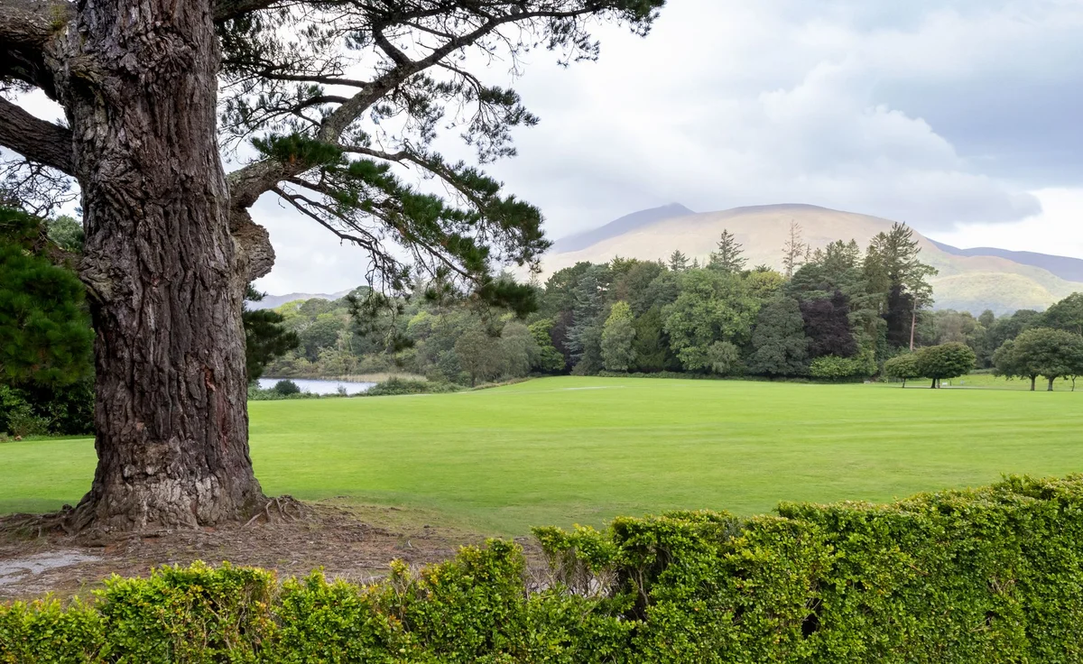 Muckross House And Gardens view 2