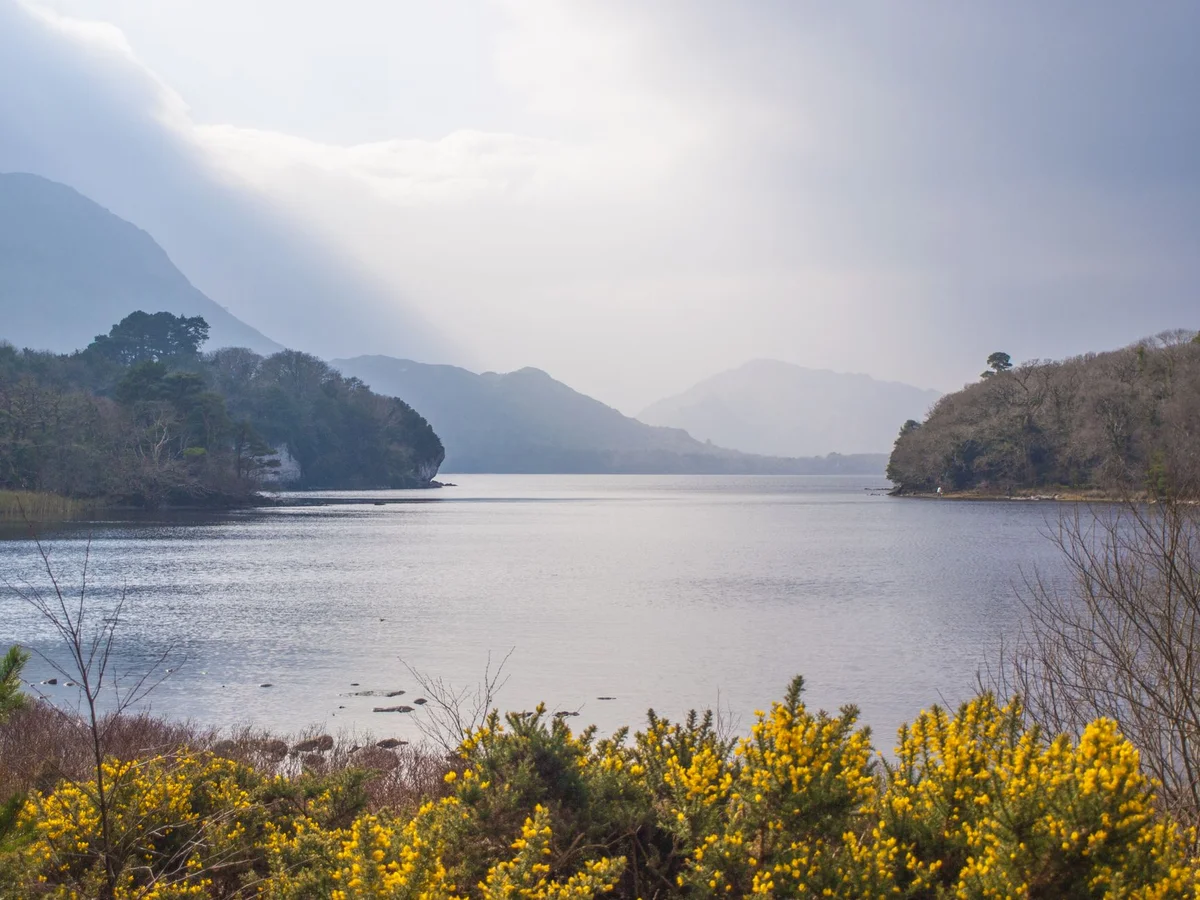 Muckross Lake feature