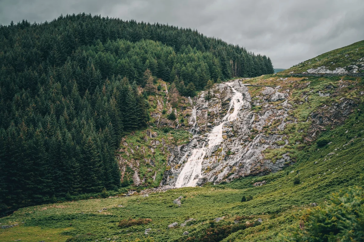 Powerscourt Estate view 2