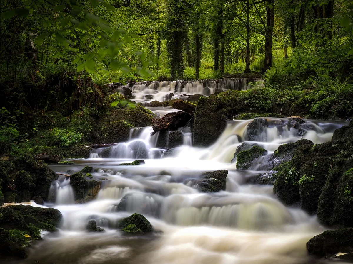 Powerscourt Waterfall view 2