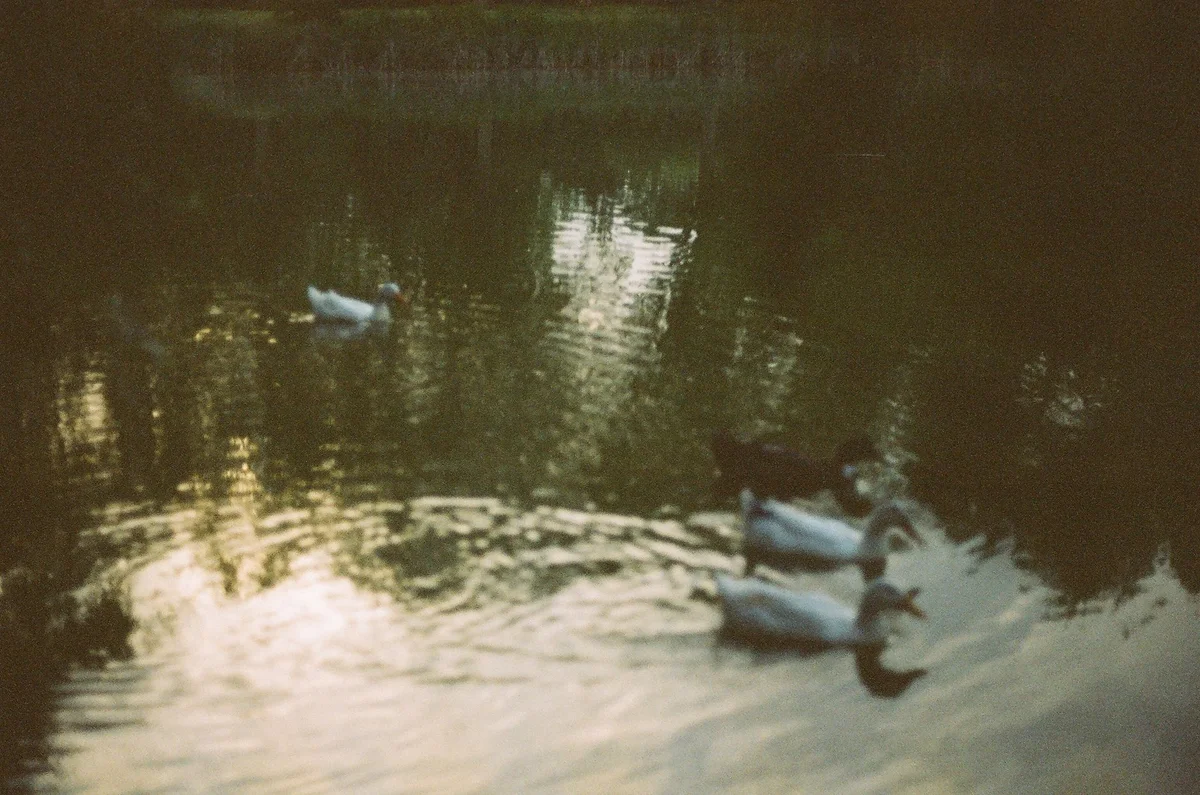 St Stephen's Green view 2