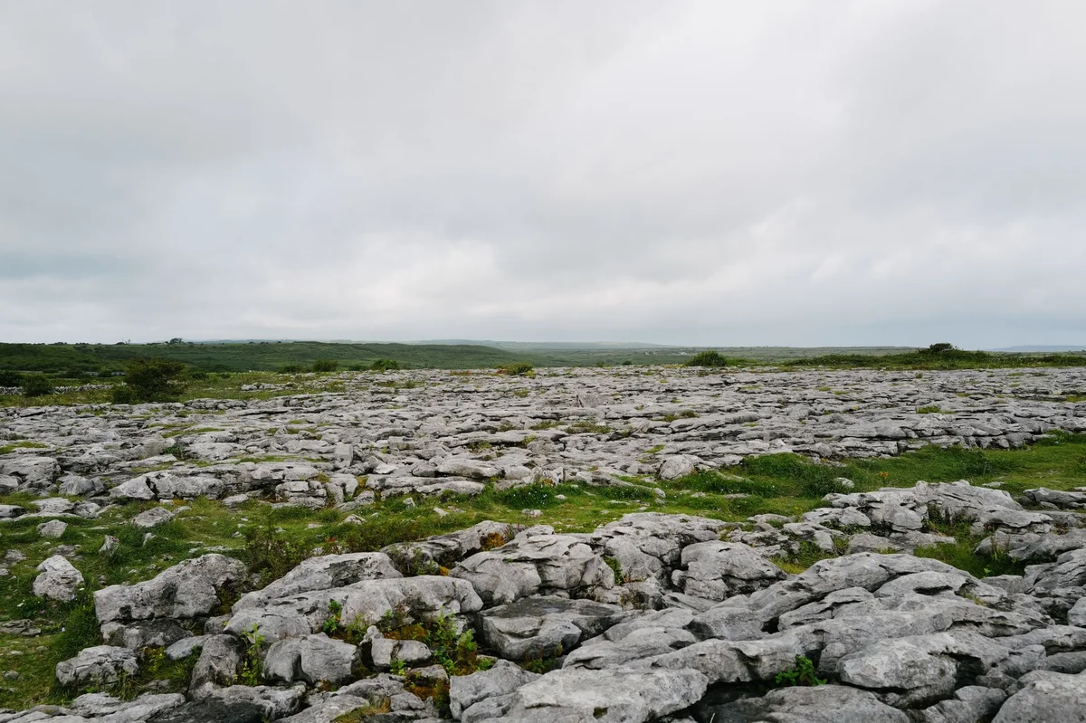 The Burren view 1
