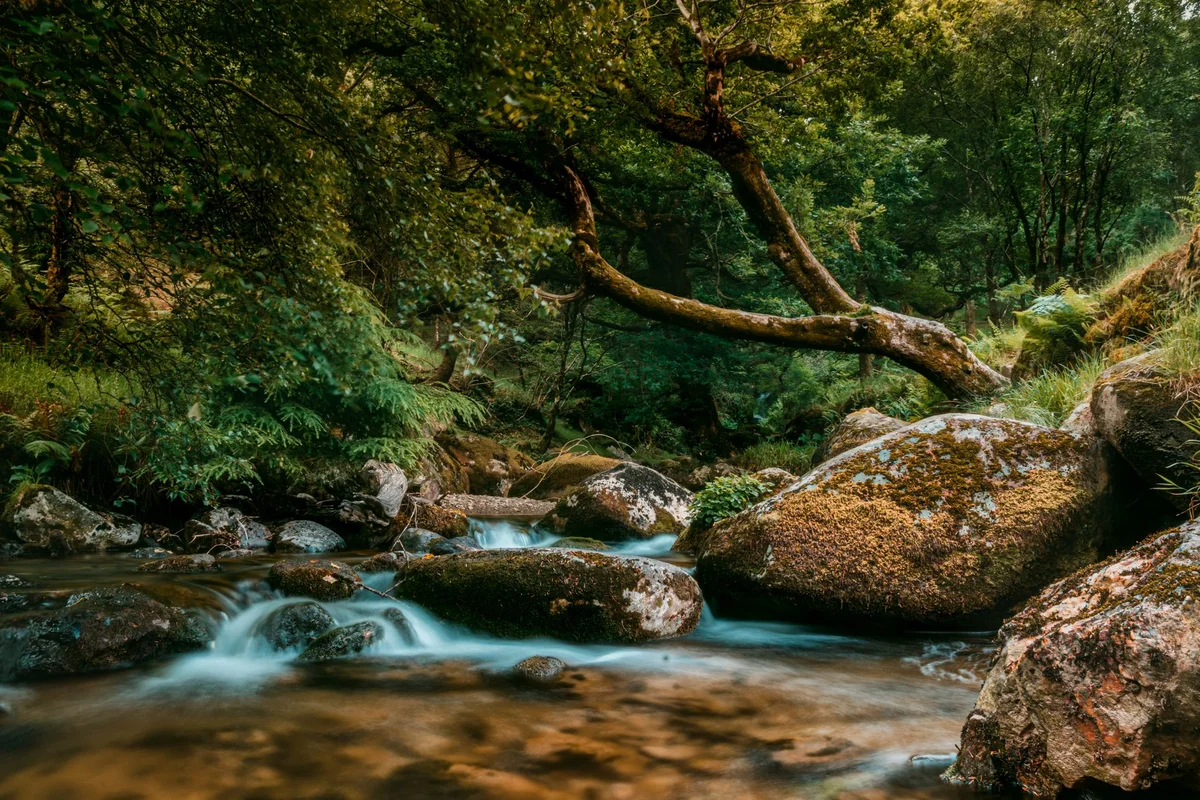 Glendalough Upper Lake view 2
