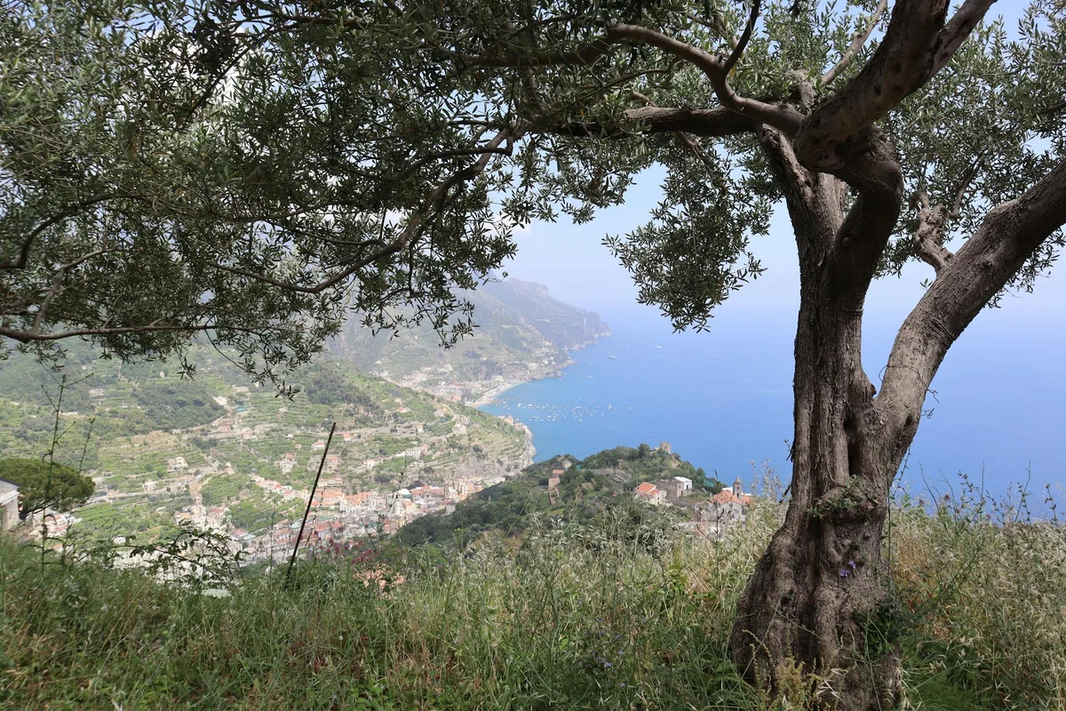 Cetara Viewpoints view 1