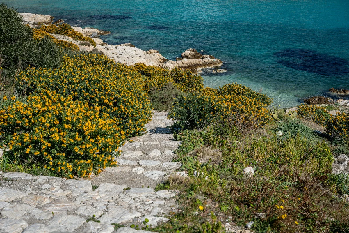 Conca dei Marini Coastal Trails view 1