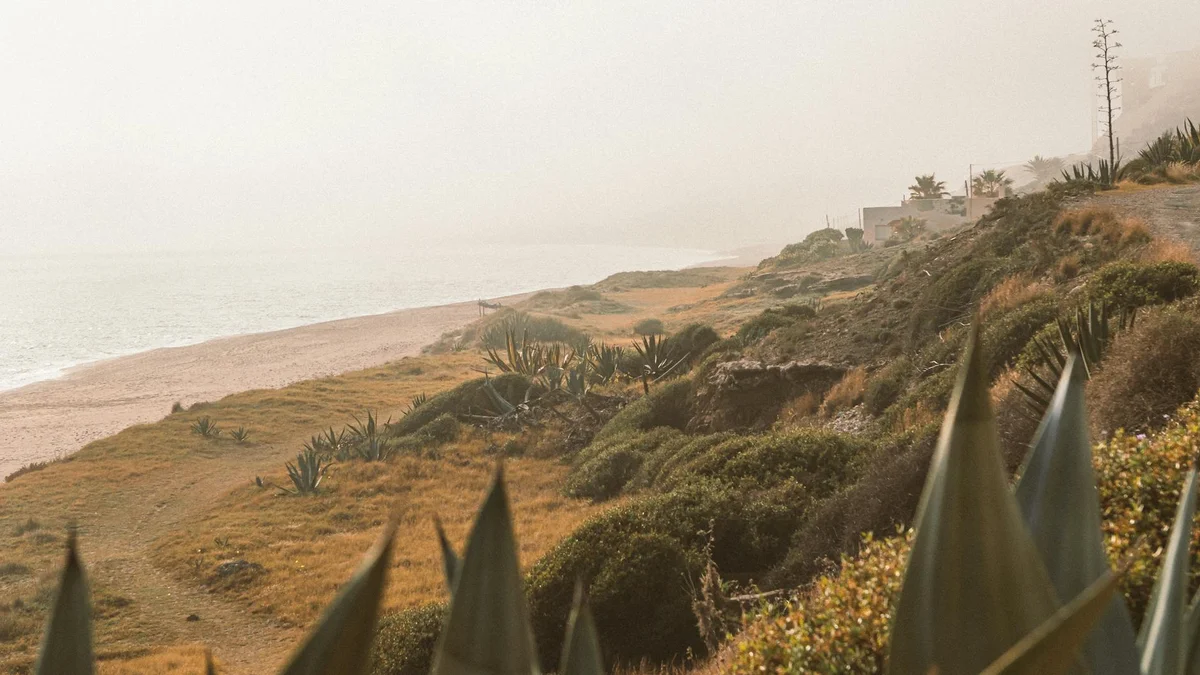 Sentiero dell'Agave in Fiore view 1