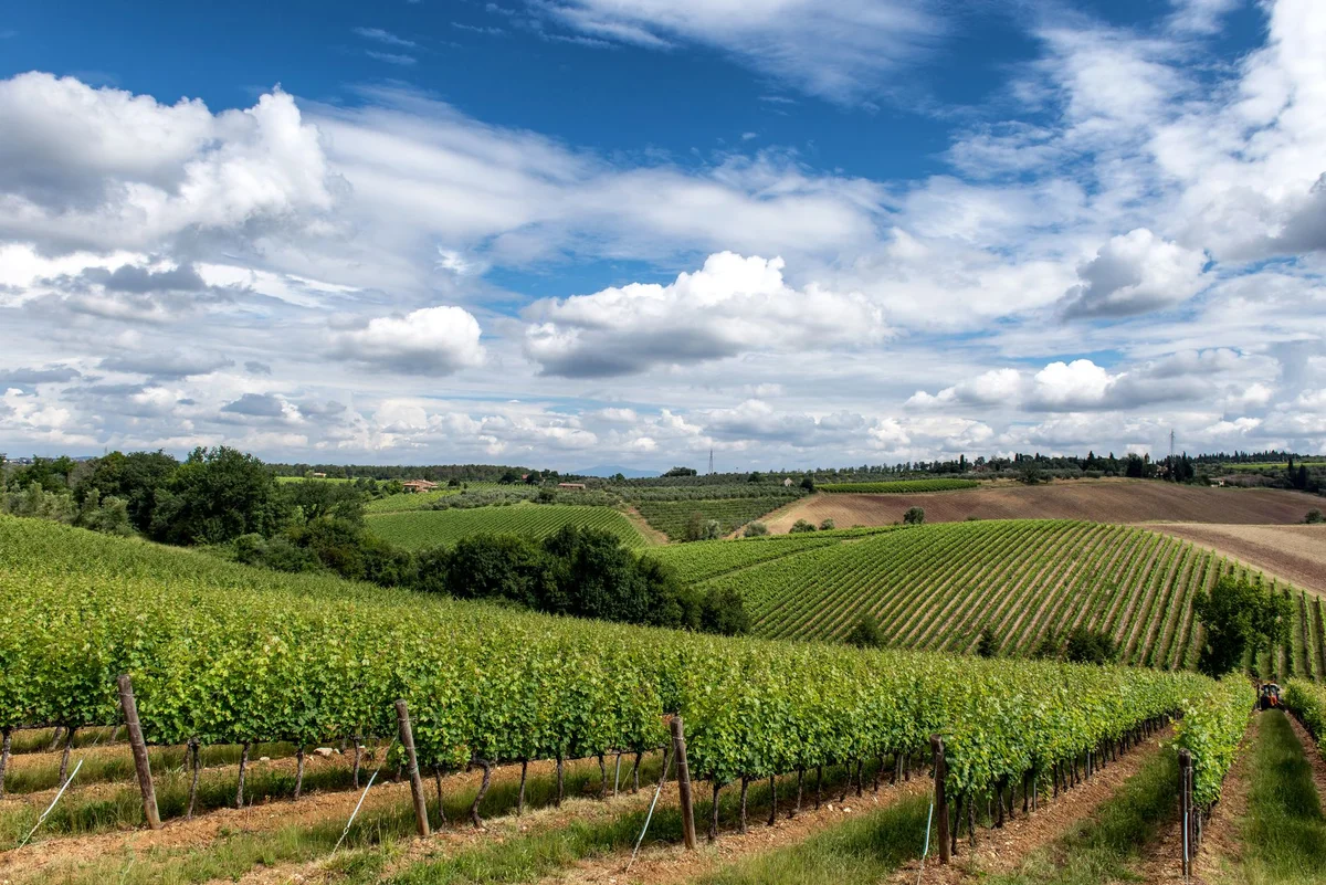 Antinori nel Chianti Classico view 1