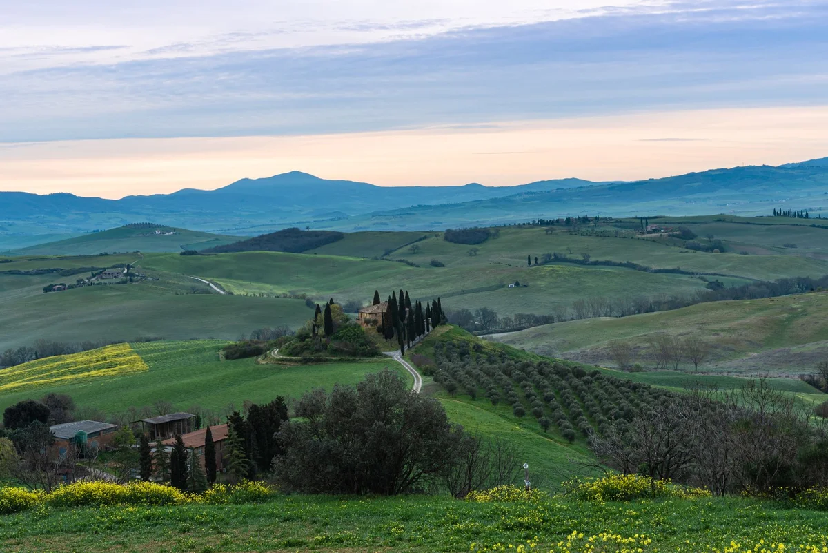 Azienda Agricola Le Peracciole view 2